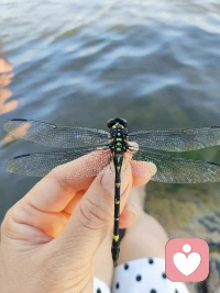 认知不同，不必强行渡人。
不请自来的指点，从来不是善意，而是冒犯……