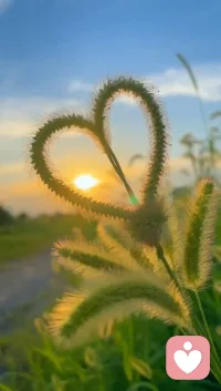 早安，朋友。愿今日的清风为你拂去疲惫，阳光为你注入活力，每一个瞬间都值得珍藏