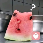 猫猫有什么错的头像