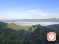 水到绝境是瀑布，人到绝境是重生；只有扛得住涅槃之痛，才配得上重生之美。配图