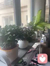 慢下来，好好生活，慢慢相遇，万事舒心，自在欢喜。配图