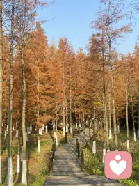 希望你的眼睛一直笑，想要的都得到配图