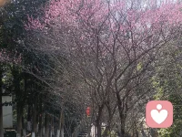 和过去说一句算了配图