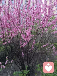 你所有感受都是有道理的，尤其是那些灰暗的感受。配图