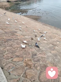一直撑着真的很累吧。
你不必永远懂事、永远无坚不摧，
允许自己崩溃，也是对自己的温柔。
 
哭完、歇一歇，再慢慢站起来就好。配图