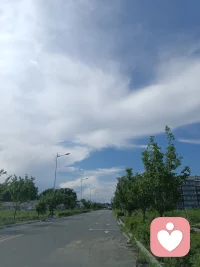 不必逼迫自己事事圆满，人生本就是一边失去一边捡拾温柔。疲惫时允许停下脚步，接纳偶尔的脆弱与迷茫。
