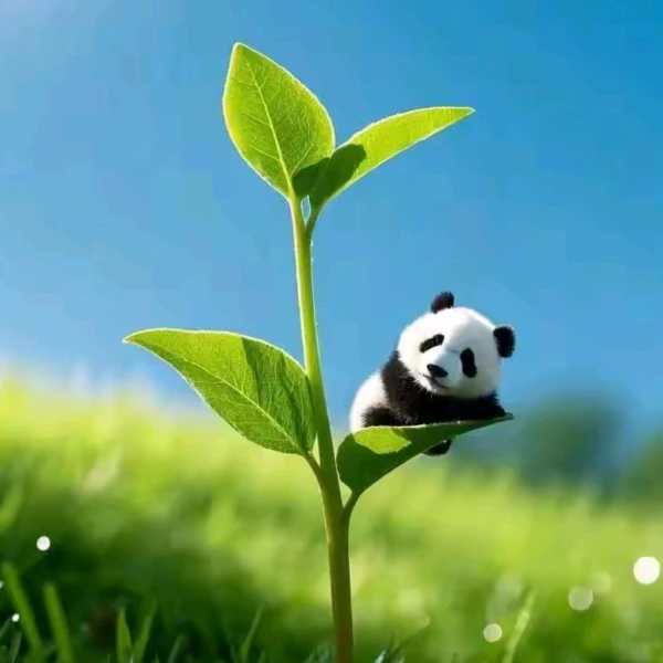暖心蜗牛