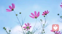 关系结束后，如果克制不甘和执念