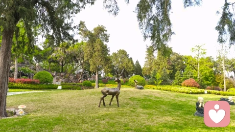 外边没有别人，只有自己\n外边没有别人，只有自己\n\n原创 90后的小强 90后的小强\n\n 2025年2月9日 11:58 山东\n\n\n外边没有别人，