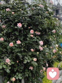 人性本私，别高估关系，别低估人心。”“世上有两样东西不可直视：一是太阳，二是人心。”