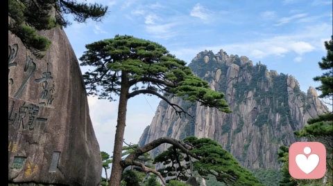 爱里的委屈，从来都不用自己硬扛