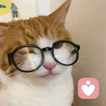 松鼠老师的头像