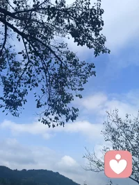 每天对自己说一句我很好。 ′配图