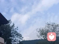 每天对自己说一句我很好。 ′配图