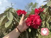 后来才懂，有些再见，就是再也不见。配图