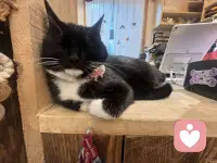 成年人的世界，太多话只能藏在心里
难过不能说，委屈没人懂，崩溃要自愈
压抑久了，情绪总会堵在心里

如果你觉得孤单、迷茫、心累
有解不开的心结、放不下的人和事
来找我吧
我认真听你说完所有心事
站在你的角度理解你、拥抱你
慢慢治愈情绪，慢慢和自己和解 倾诉，全程温柔，随时可倾