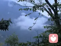 不评判、不指责、不说教
安静倾听，温柔共情
帮你梳理情绪、缓解内耗、治愈坏心情
给你一段完全放松、被理解的独处时光