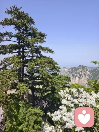 与其抱怨身处黑暗，不如提灯前行。配图