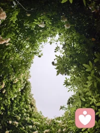 你看，连星星都需要黑夜才能闪耀，你的光芒也正在此刻沉淀。配图