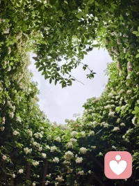 你看，连星星都需要黑夜才能闪耀，你的光芒也正在此刻沉淀。配图