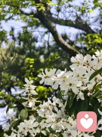 这个世界已经有很多人和事会让你失望，而最不应该的，就是自己还令自己失望。配图