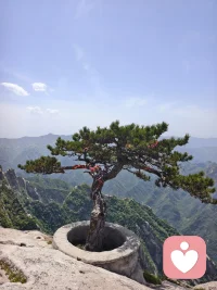一句‘我懂’，胜过千言万语的辩解，让人感到被看见、被珍视。配图