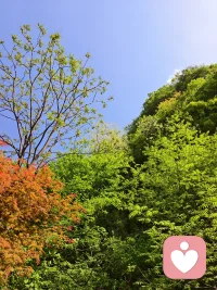 雨会停，心会晴，没有什么会永远糟糕透顶。配图