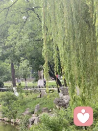‌允许一切发生，也允许一切过去‌，心宽了路就宽了 。配图