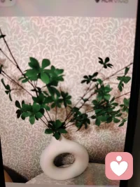 爱不是索取而是。一个完整的人互相照亮，先把自己还给自己，再把别人还给别人