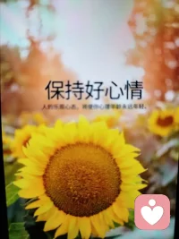 情绪是健康的信号系统
1.情绪是健康的“晴雨表”
情绪是身心状态最直接的反馈，焦虑提醒你可能有未解决的问题，悲伤提示你需要休息或告别，愤怒告诉你边界被侵犯，压抑情绪反而会扰乱内在平衡。
2，情绪是健康的“调节器”
适当的情绪波动能激发动力（如紧迫感），促进社交联结（如共情的悲伤/快乐），帮助反思与成长（如羞愧/后悔）。研究也表明，适度表达情绪比长期压抑更有利于免疫与心血管功能。
三，情绪本身就是心理健康的核心构成
心理健康不是“永远开心”，而是能感受、识别、接纳，调节各类情绪，并在不同情景下做出适应性反应。私下感觉自己童心未泯！情绪阻滞（如麻木，持续抑郁或暴怒）往往是心理问题的信号。