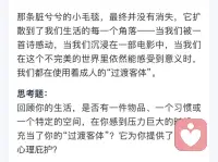 当我们被一首诗感动，当我们沉浸在一部电影中，当我们在这个不完美的世界里依然能感受到意义时，我们都在使用着成人的“过渡客体”。配图