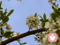 童年缺被理解的孩子，一生都在寻找安全感。配图