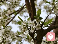 成长不是戒掉敏感，而是学会和敏感温柔共处。配图
