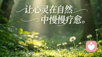 一味单方面妥协的婚姻，最终一定会彻底失衡