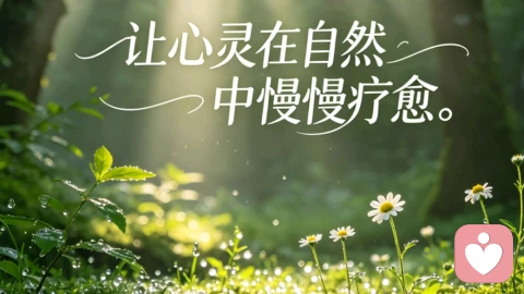 单方面卑微主动的婚姻，终究会耗尽所有深情