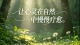 高敏感的人走进婚姻，真的太容易累了