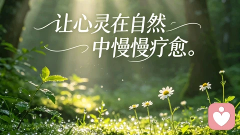 迷茫时的硬撑，是成年人最徒劳的自我消耗