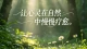成年人最大的内耗：总想“把一切理顺”
