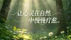 婚姻里80%的失望，都源于过高期待