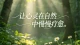 婚姻里的焦虑‑回避循环：越想靠近，越被推开
