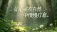 焦虑‑回避循环：越渴望靠近，彼此越受伤
