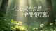 已婚式孤独：同住一个屋檐，却独自承受全部心事