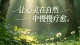 婚姻里的情绪账户赤字，为什么付出越多反而越委屈