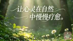 婚姻里的情绪账户赤字，为什么付出越多反而越委屈
