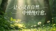 焦虑—回避循环，你们不断拉扯的元凶