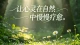 已婚式孤独：明明身边有人，为何依旧孤身一人？