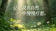 焦虑回避循环｜亲密关系里逃不开的拉扯