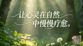 焦虑回避型循环：很多婚姻，是两个人在互相等对方先低头