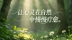 已婚孤独的真相，从来不是他不陪你