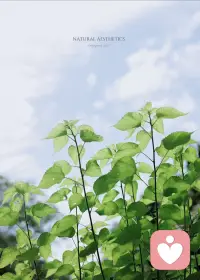 周末宜放松、宜释怀、宜心安，允许一切发生，好好生活，慢慢自愈。